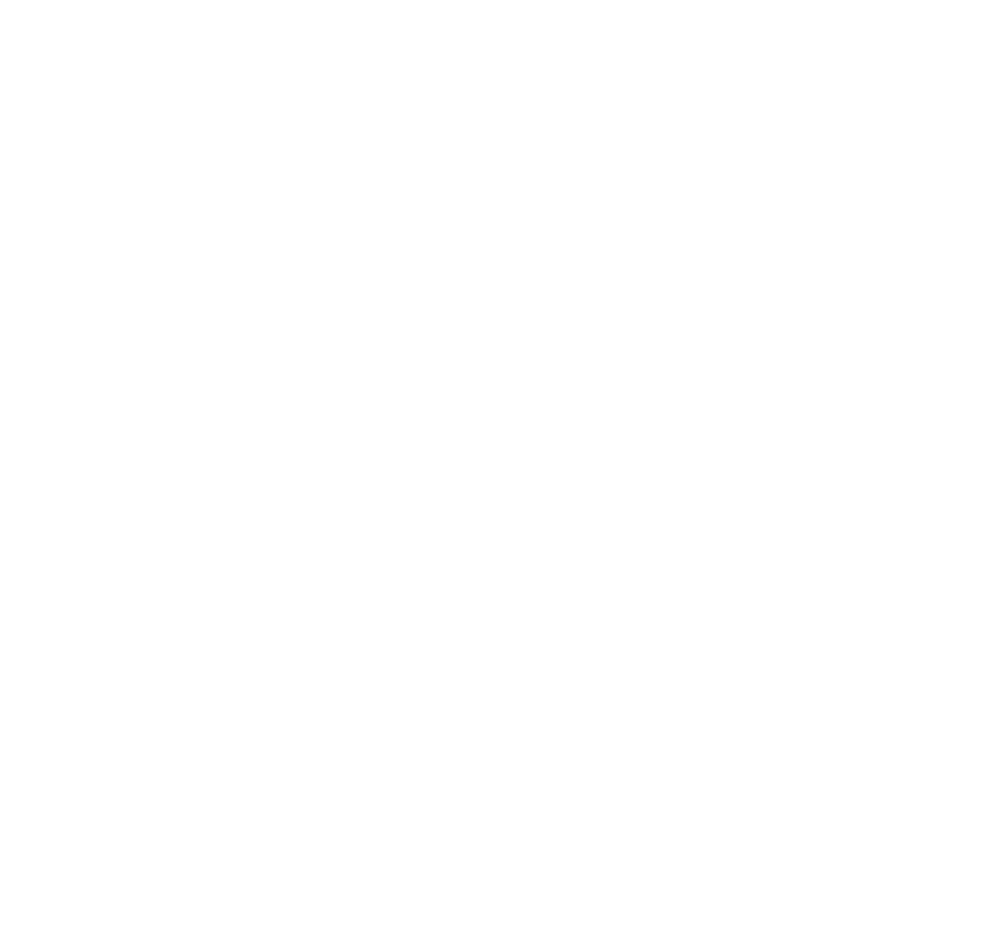 Logo Araí Cloud
